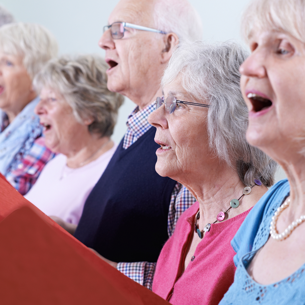 Stock Image of an adult choir